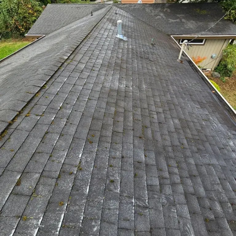 cropped-image000000-5